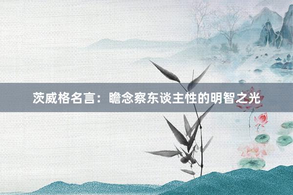 茨威格名言：瞻念察东谈主性的明智之光